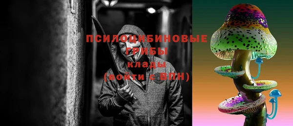 сатива Богородицк