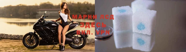 стафф Богородск
