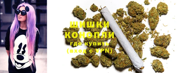 сатива Богородицк