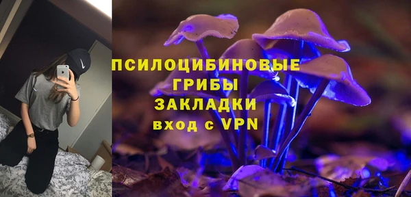 стафф Богородск