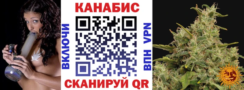 Шишки марихуана планчик  где найти   Когалым 